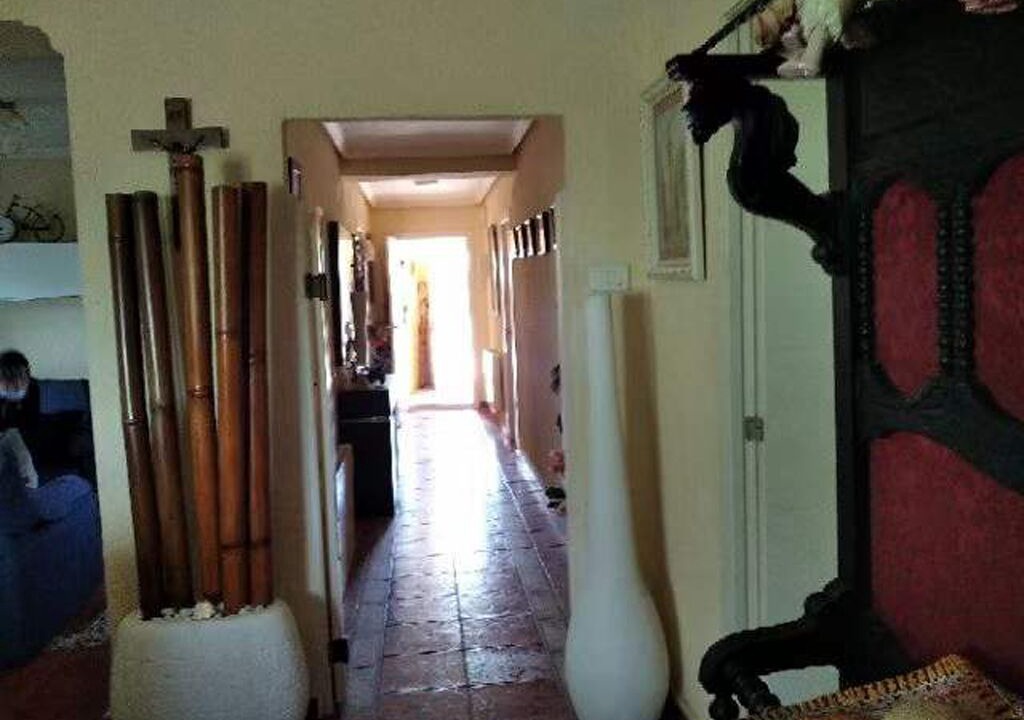 Photo of Others in Lliria