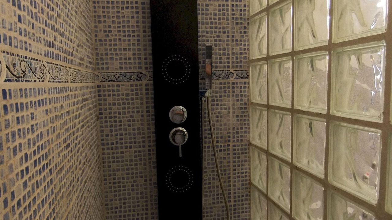 Photo of Bathroom in Calafat
