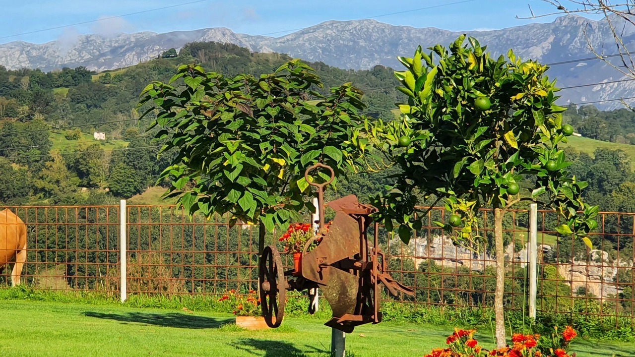 Photo of Outdoor in Parres