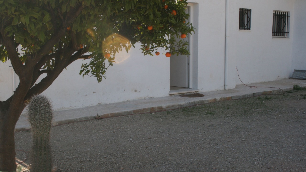 Photo of Outdoor in Crevillente