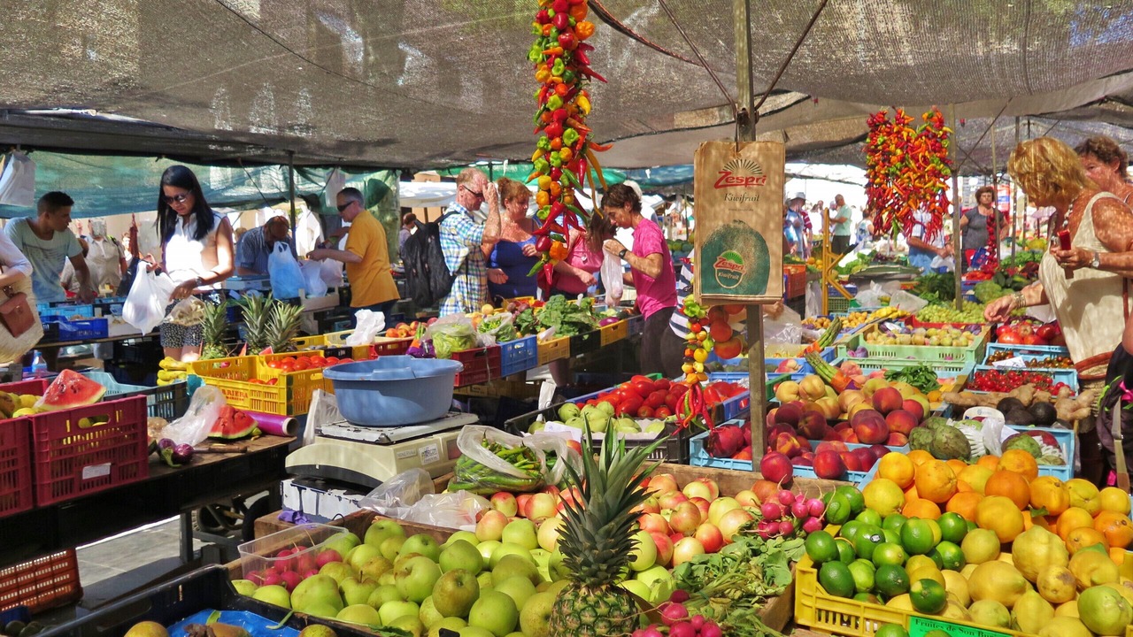 Photo of Others in Pollensa