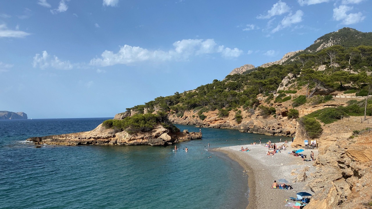 Photo of Others in Pollensa