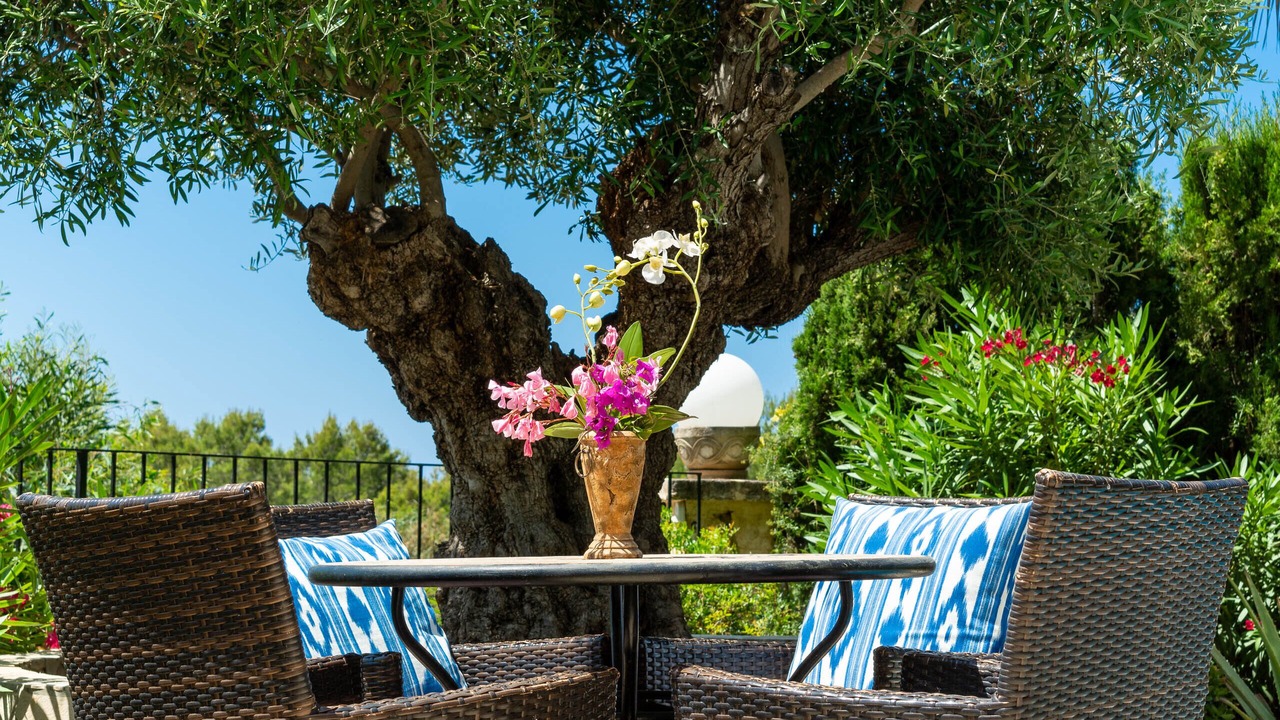 Photo of Outdoor in Ses Rotes Velles