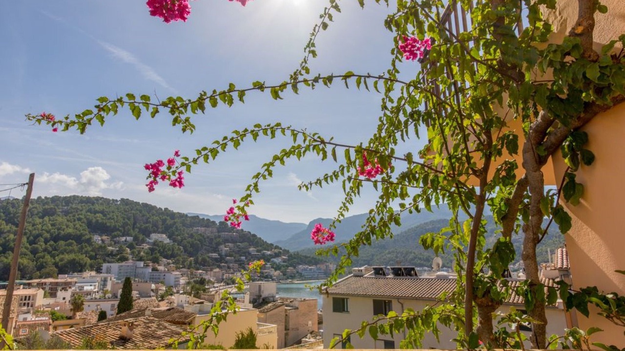 Photo of Outdoor in Puerto de Soller