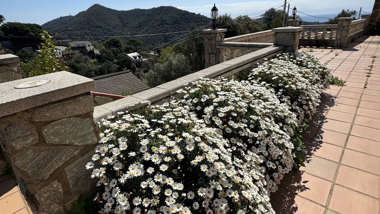 Photo of Outdoor in Sant Cebria de Vallalta