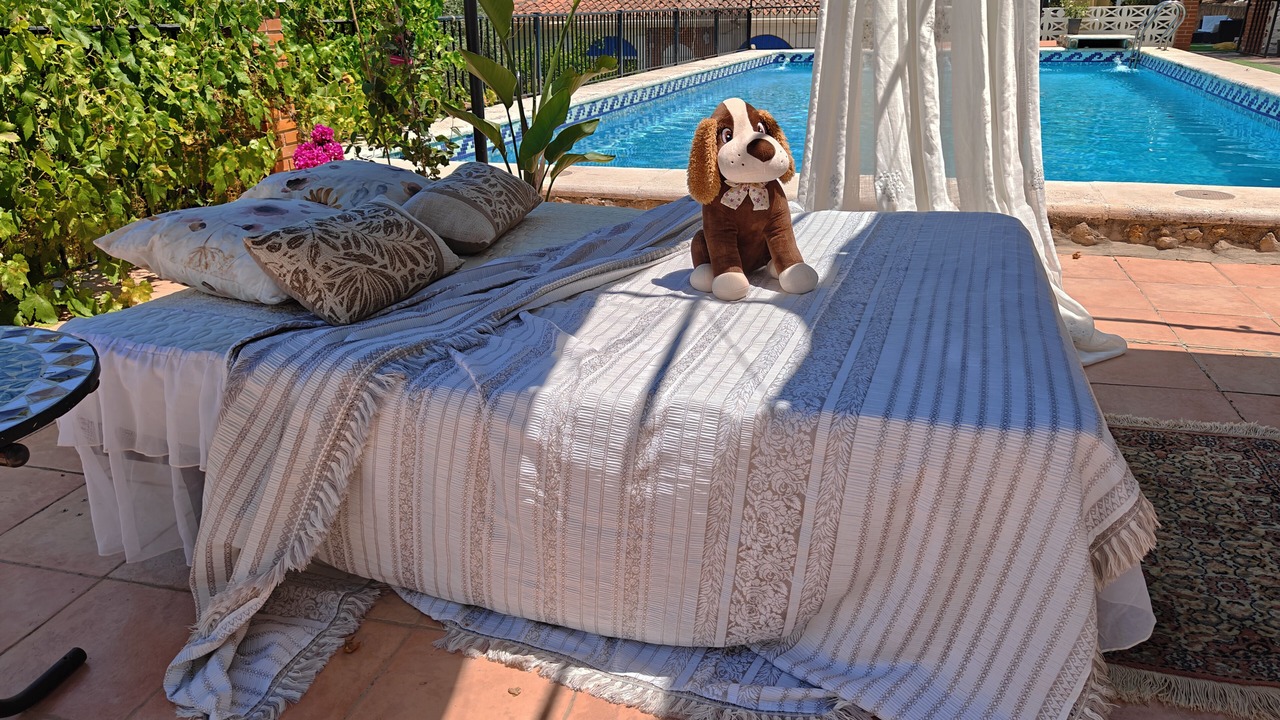 Photo of Outdoor in Lliria