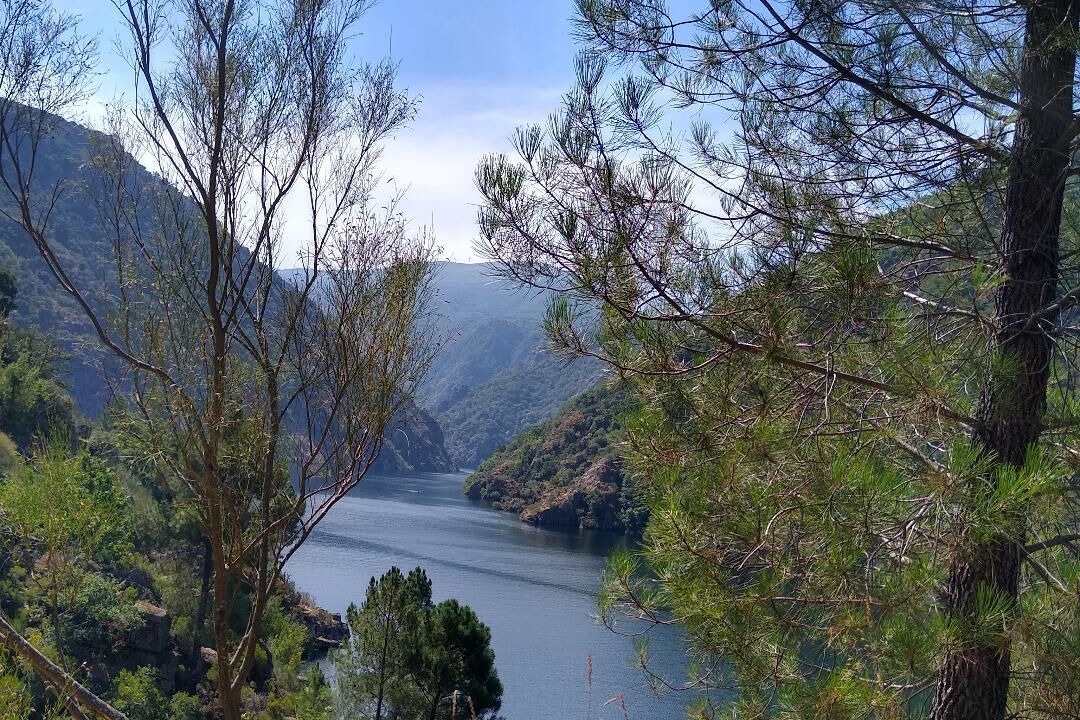 Photo of Outdoor in Panton