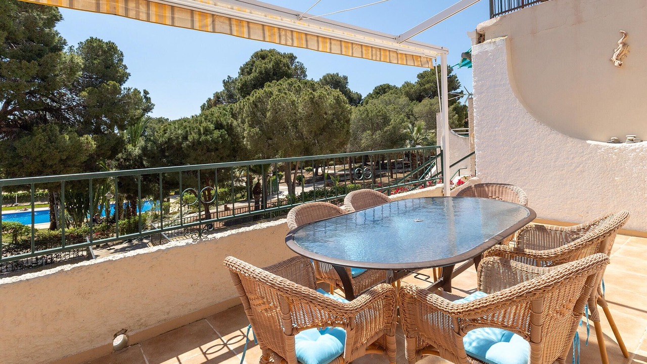 Photo of Others in Puerto de Mazarron