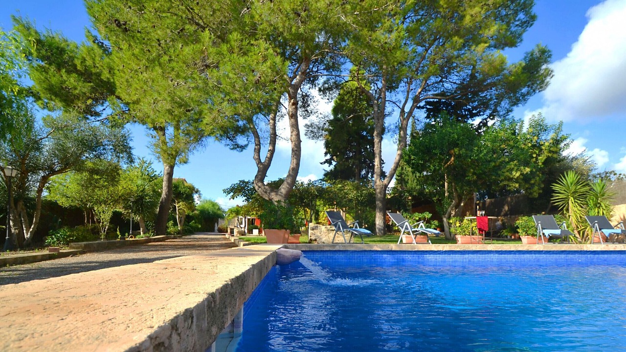 Photo of Outdoor in Consell