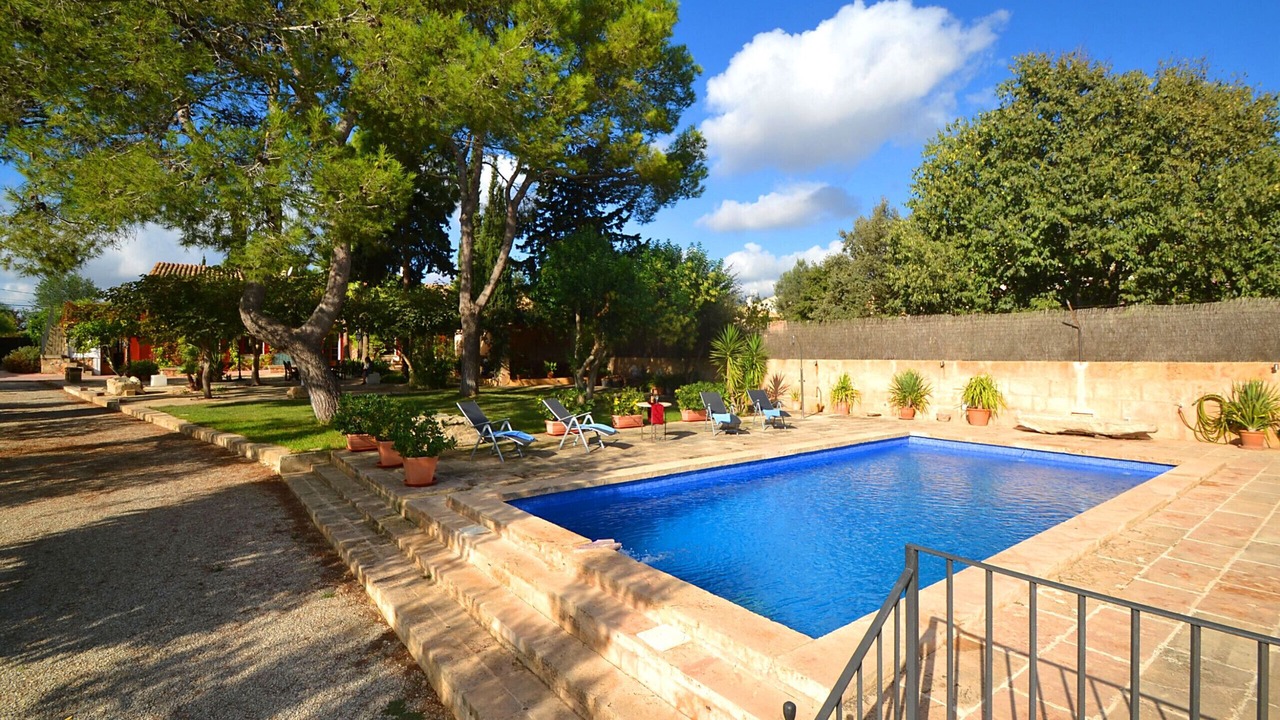 Photo of Outdoor in Consell
