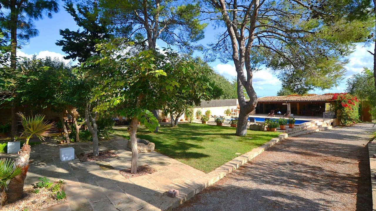 Photo of Outdoor in Consell