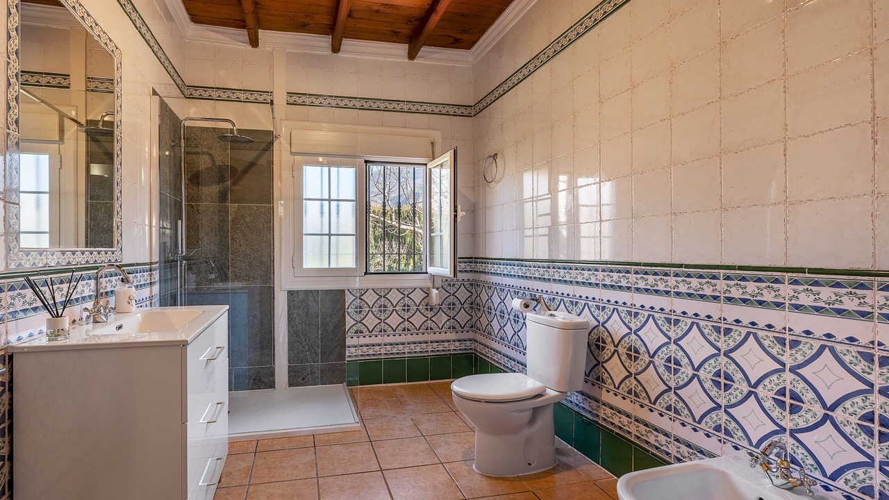Photo of Bathroom in Niguelas