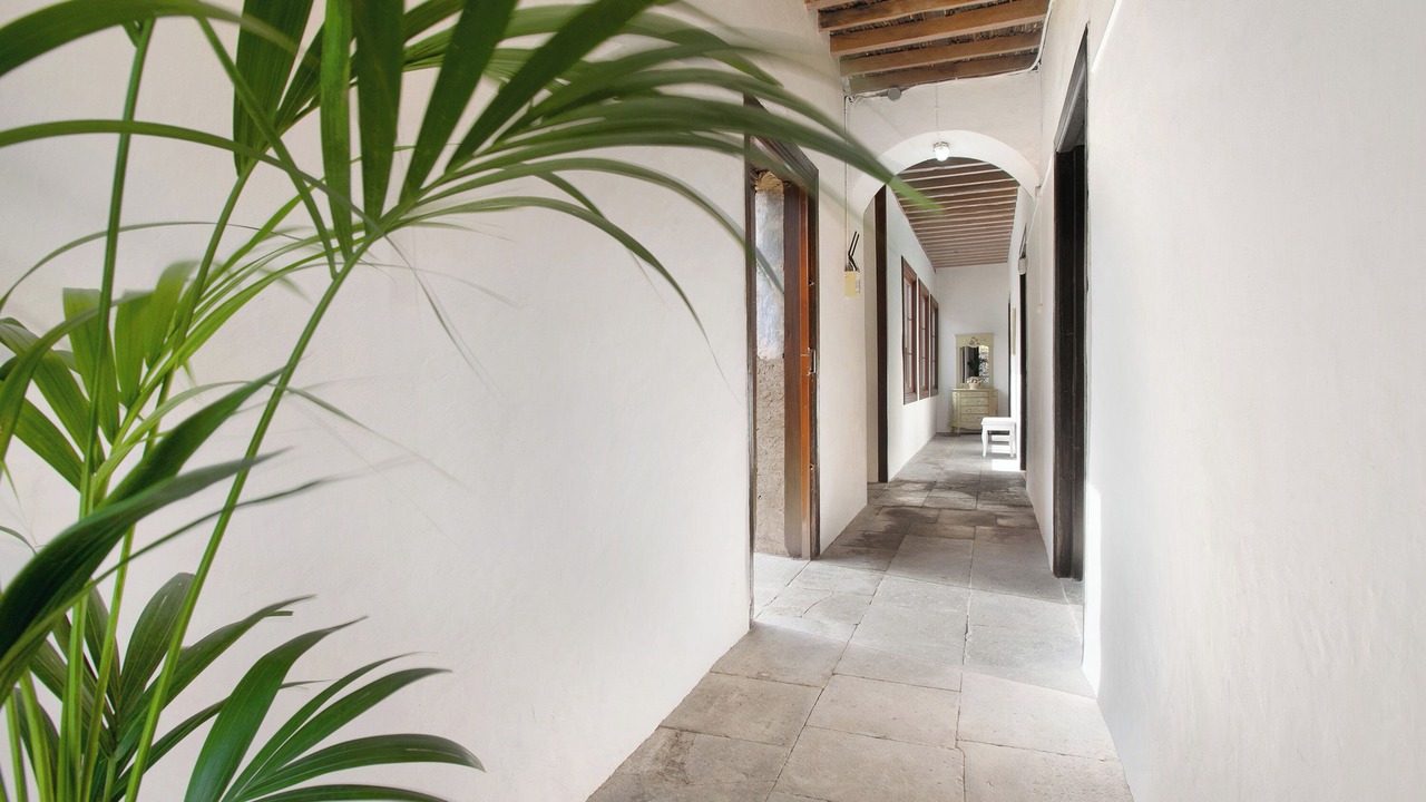 Photo of Others in Villa de Arico