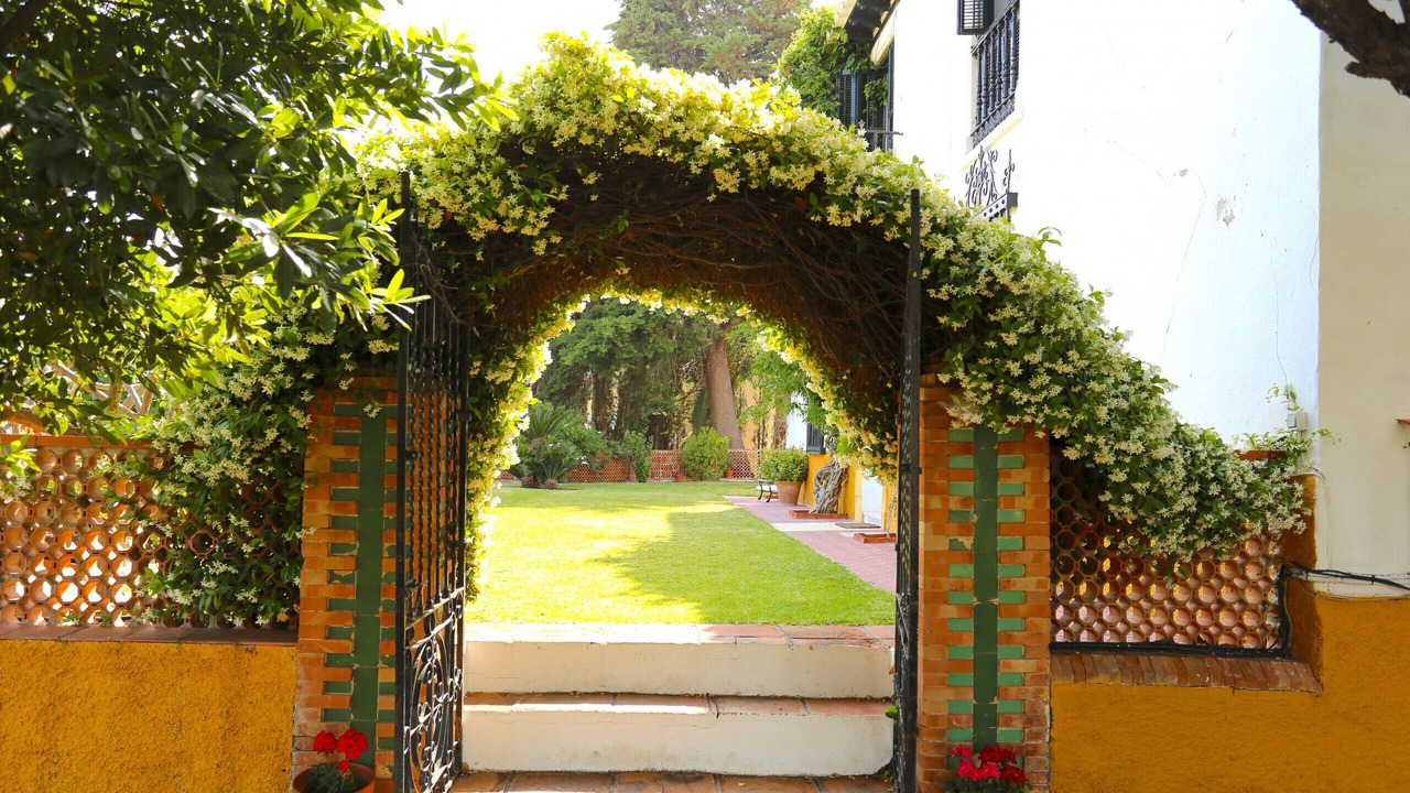 Photo of Outdoor in Malaga-Este