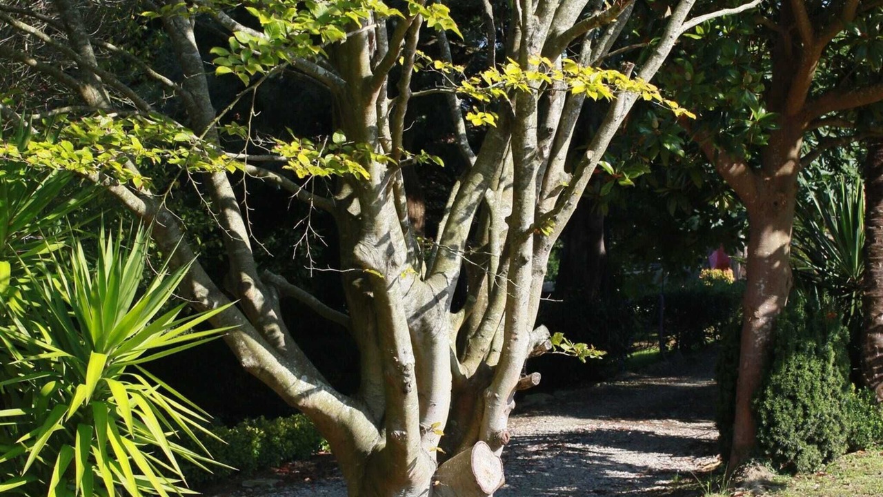 Photo of Outdoor in Tonanes