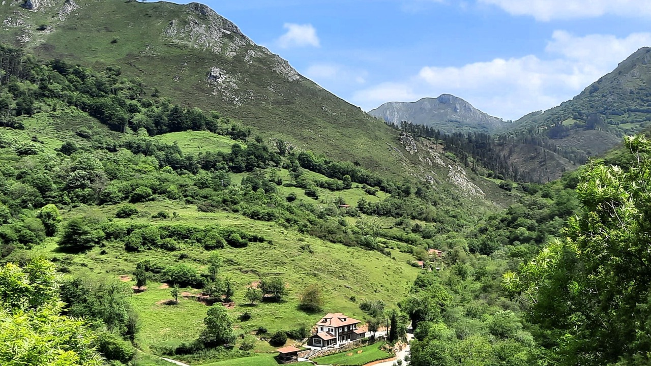 Photo of Outdoor in Peruyes