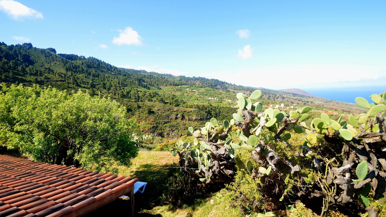 Photo of Outdoor in Santo Domingo