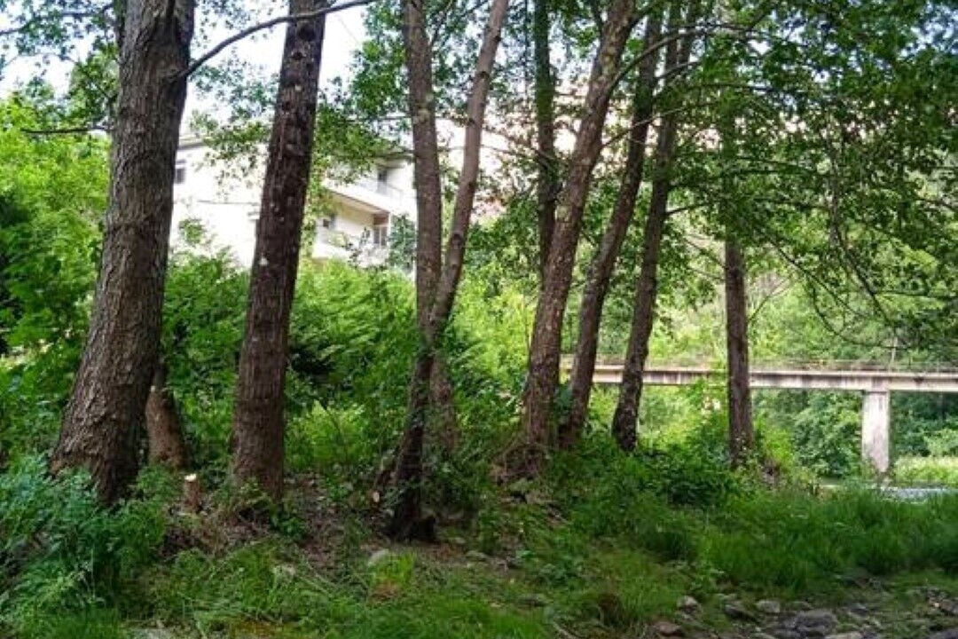 Photo of Outdoor in San Xulian