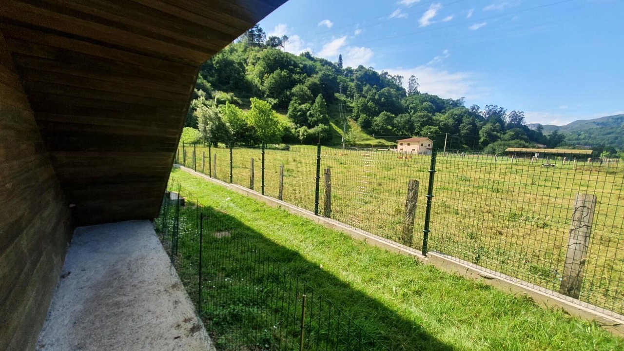 Photo of Outdoor in San Juan de Parres