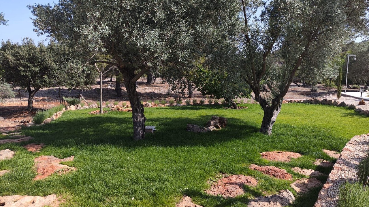 Photo of Outdoor in Bunyola