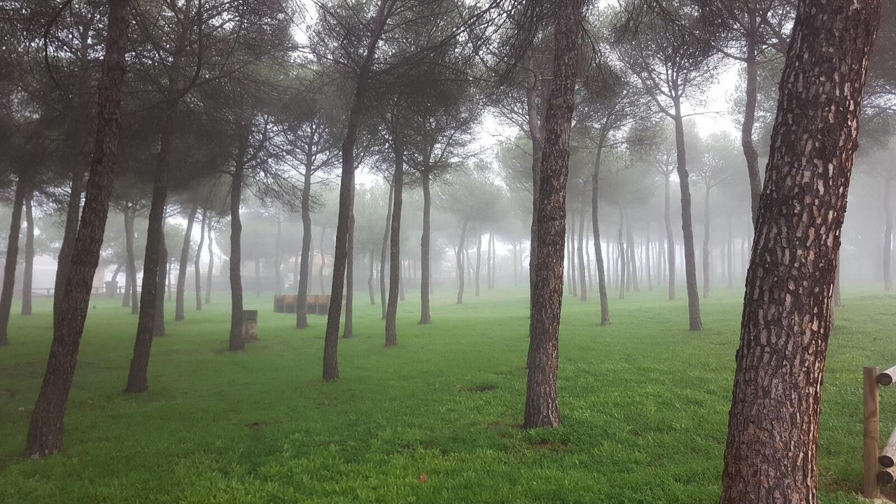 Photo of Outdoor in El Cristo del Espiritu Santo