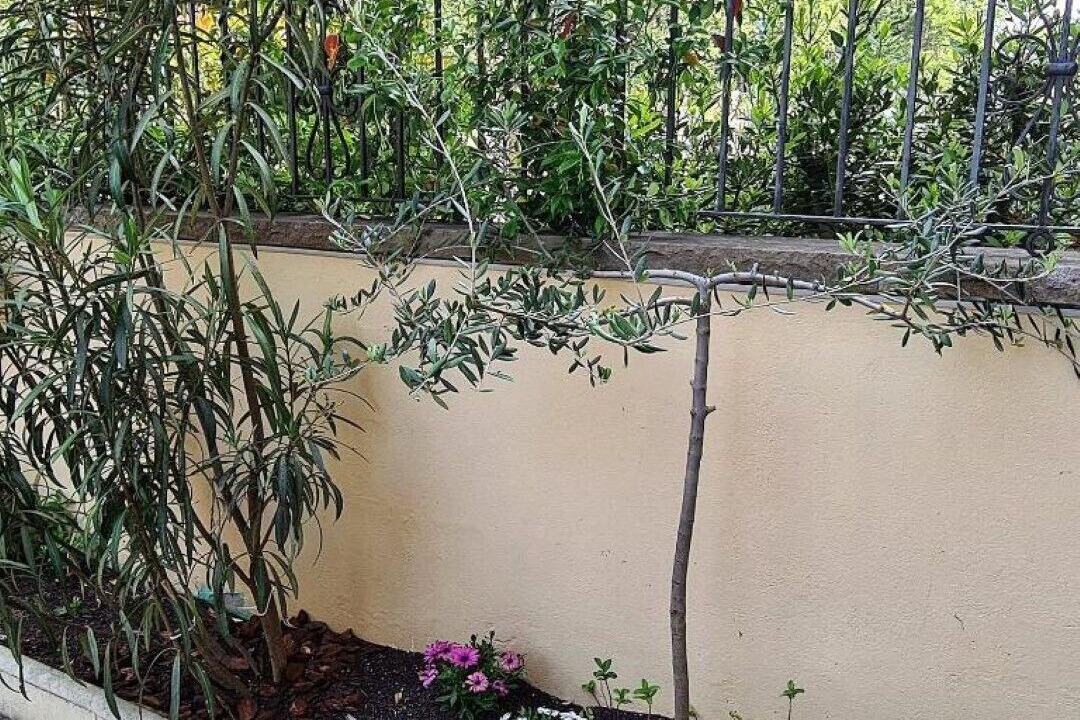 Photo of Outdoor in Tiurana