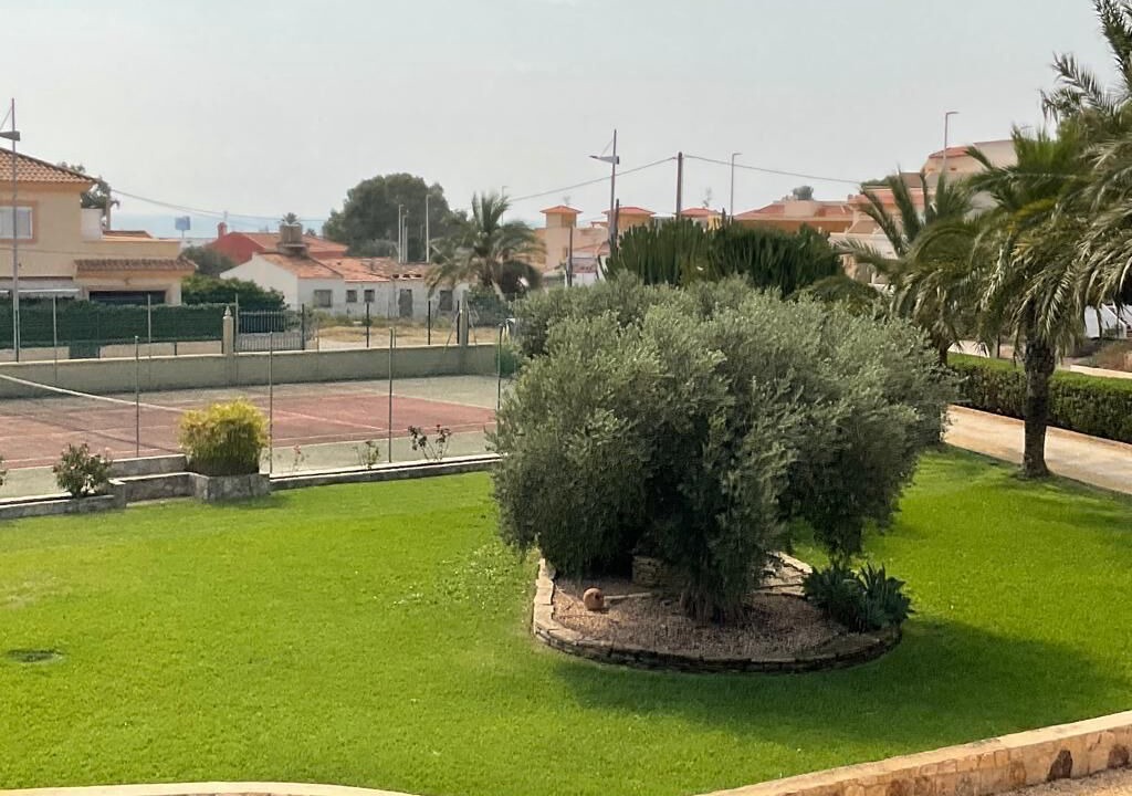 Photo of Others in Palomares