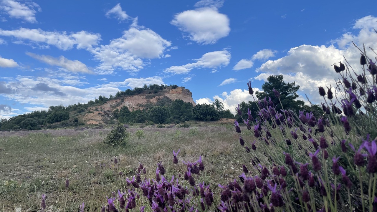 Photo of Outdoor in Arahuetes