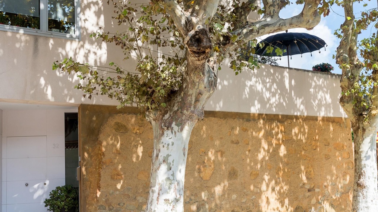 Photo of Outdoor in Alella
