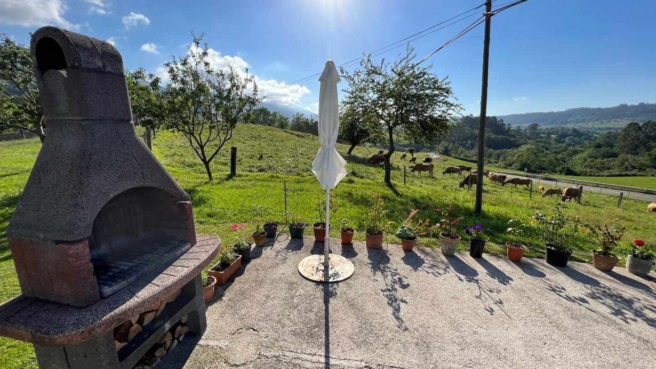 Photo of Outdoor in Noriega
