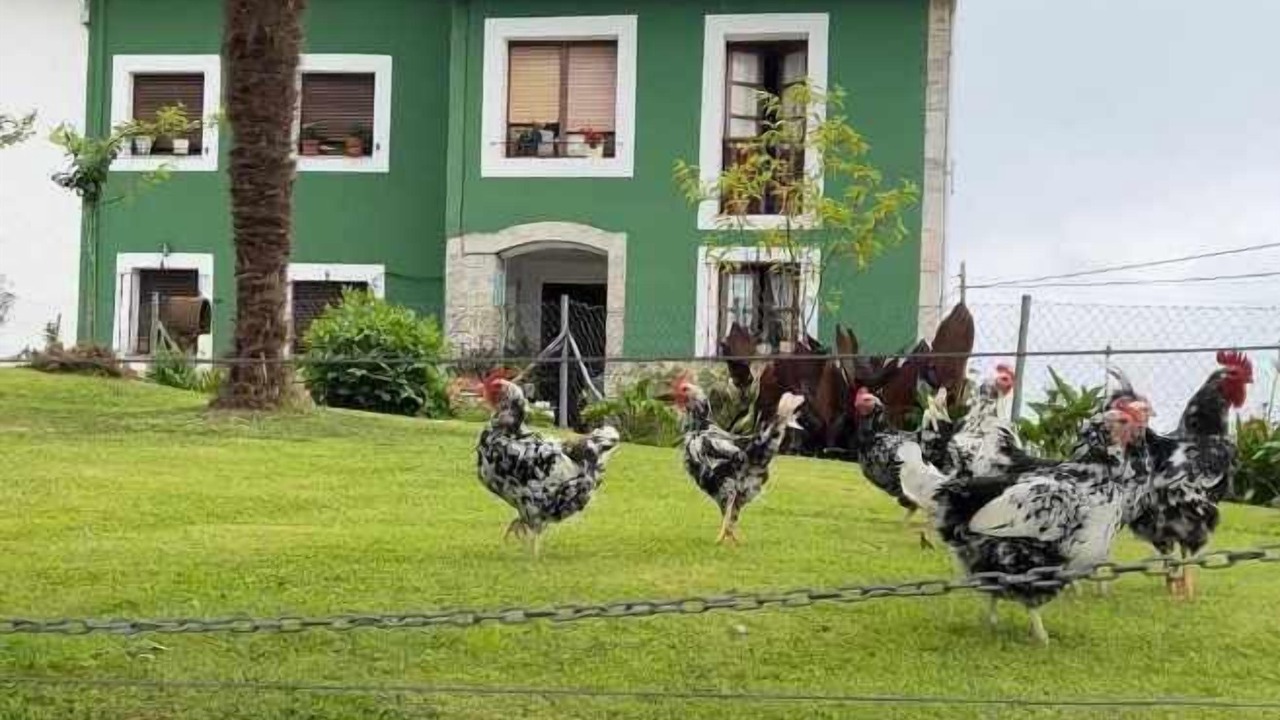 Photo of Outdoor in Noriega
