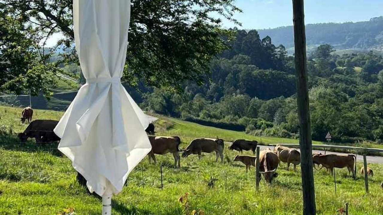 Photo of Outdoor in Noriega