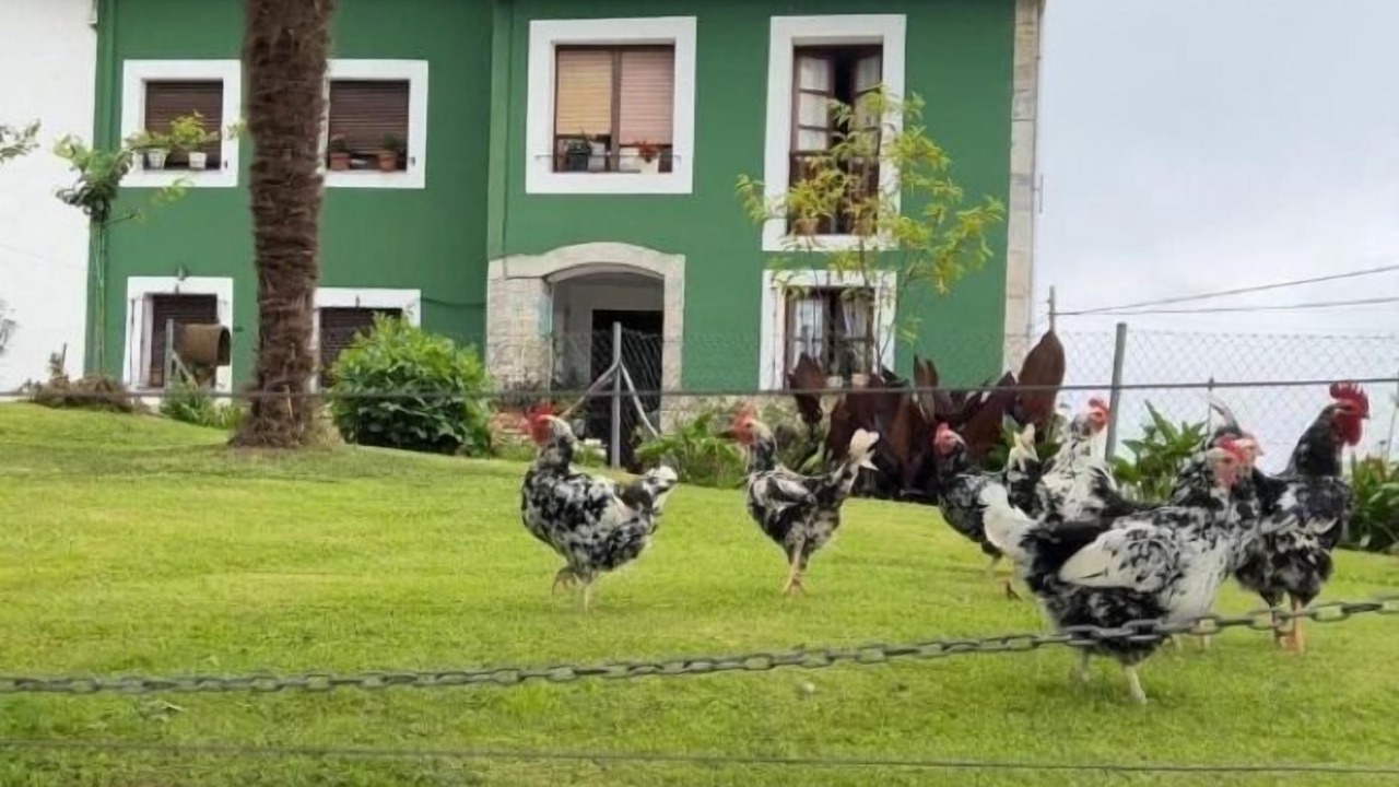 Photo of Outdoor in Ribadedeva
