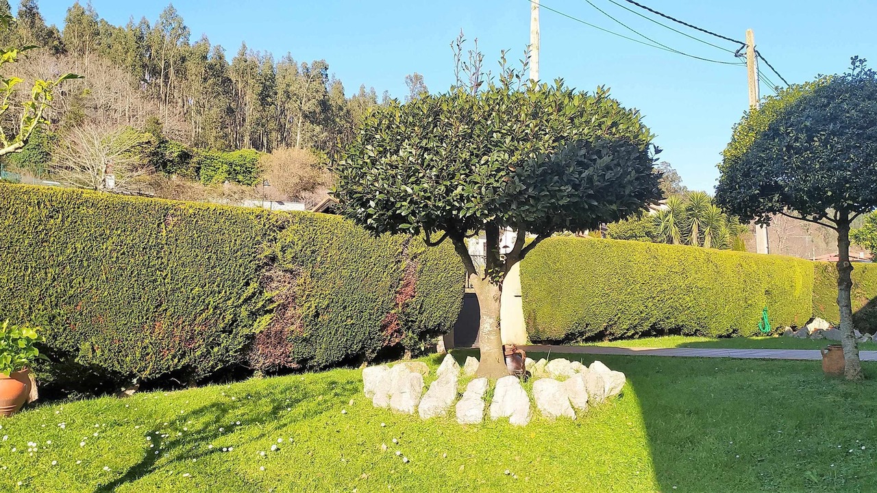 Photo of Outdoor in Llanes