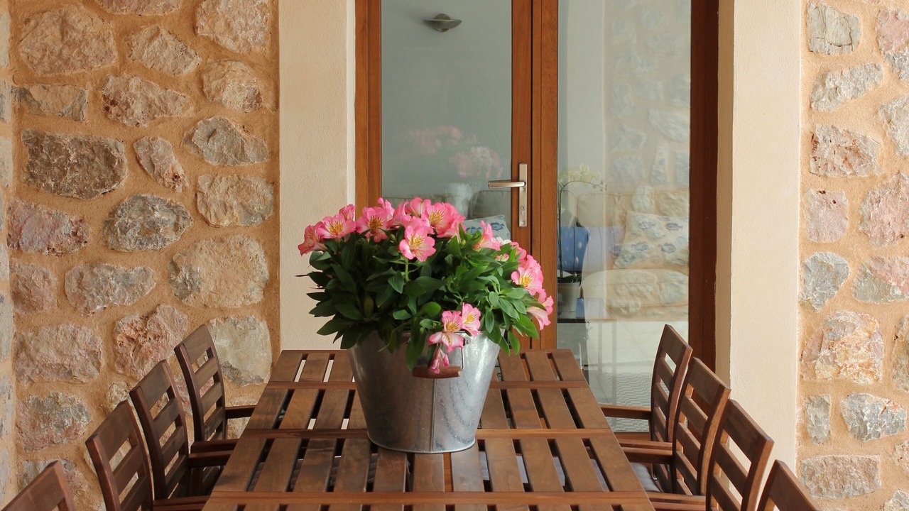 Photo of Others in Puerto de Soller