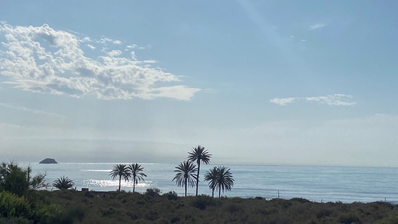 Photo of Others in San Juan de los Terreros