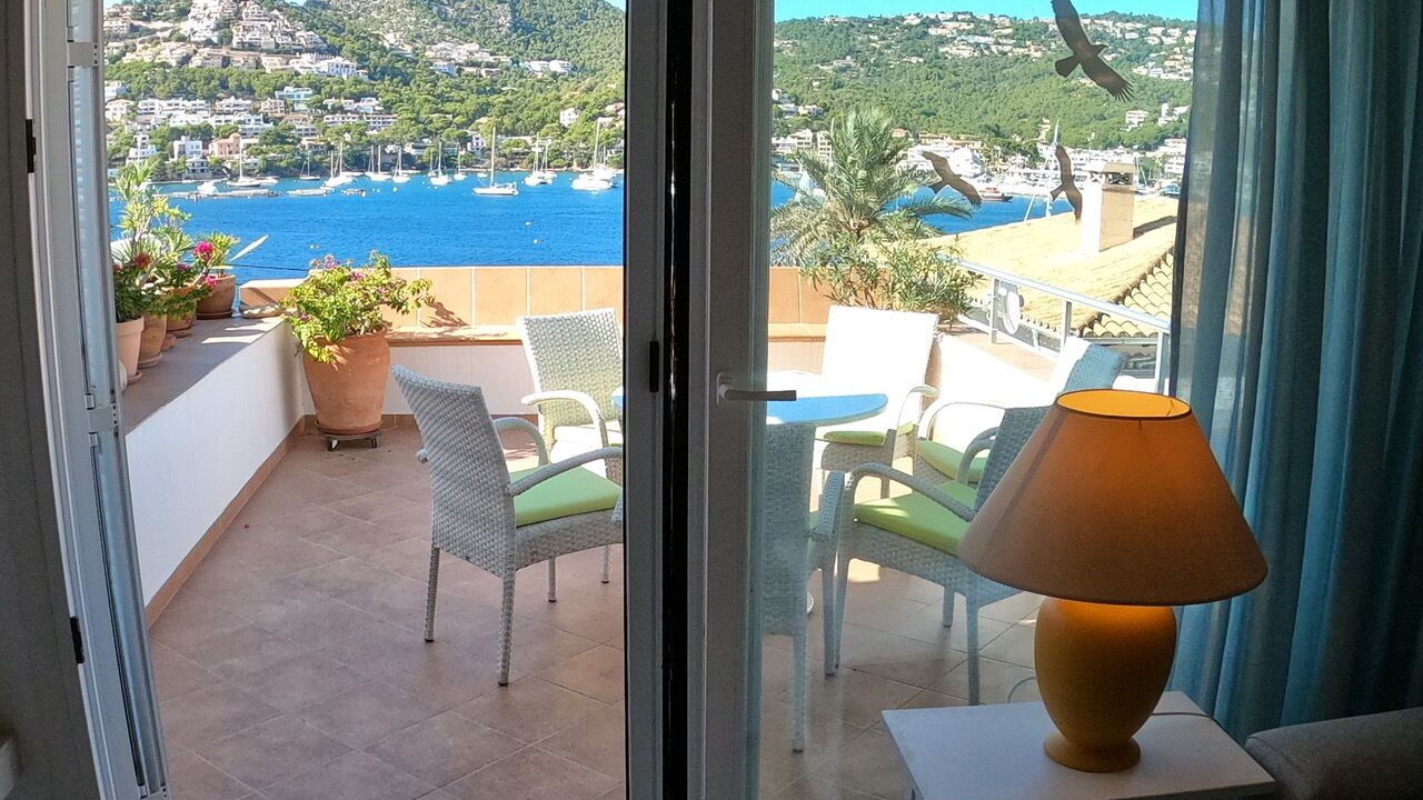 Photo of Others in Port d'Andraitx