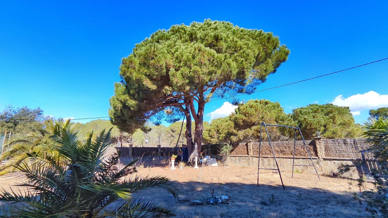 Photo of Outdoor in Sant Pol De Mar