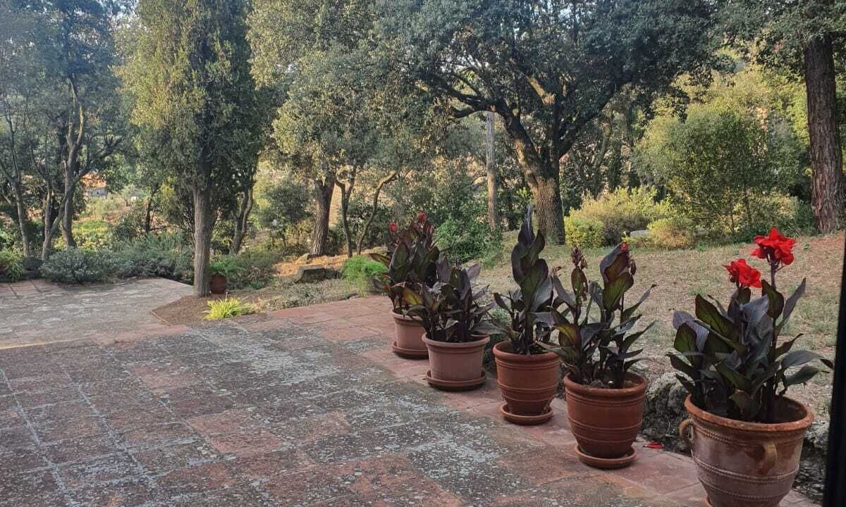 Photo of Outdoor in Foixa