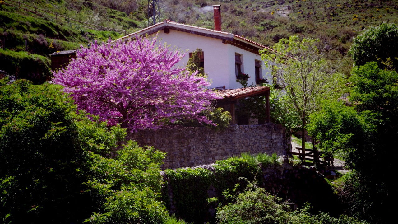 Photo of Outdoor in Munilla