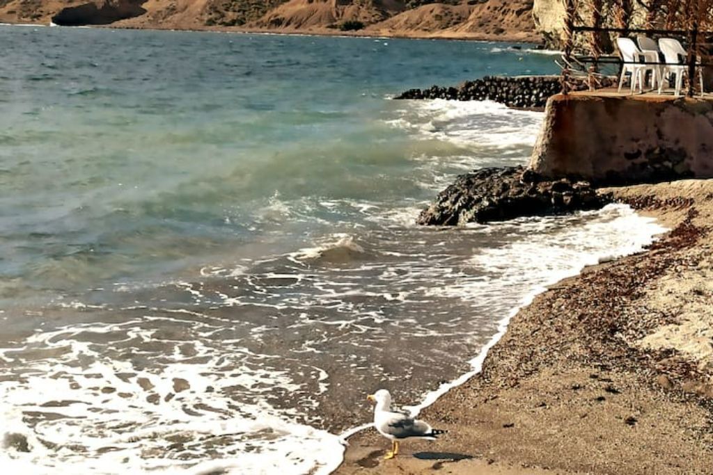 Photo of Others in La Isleta del Moro