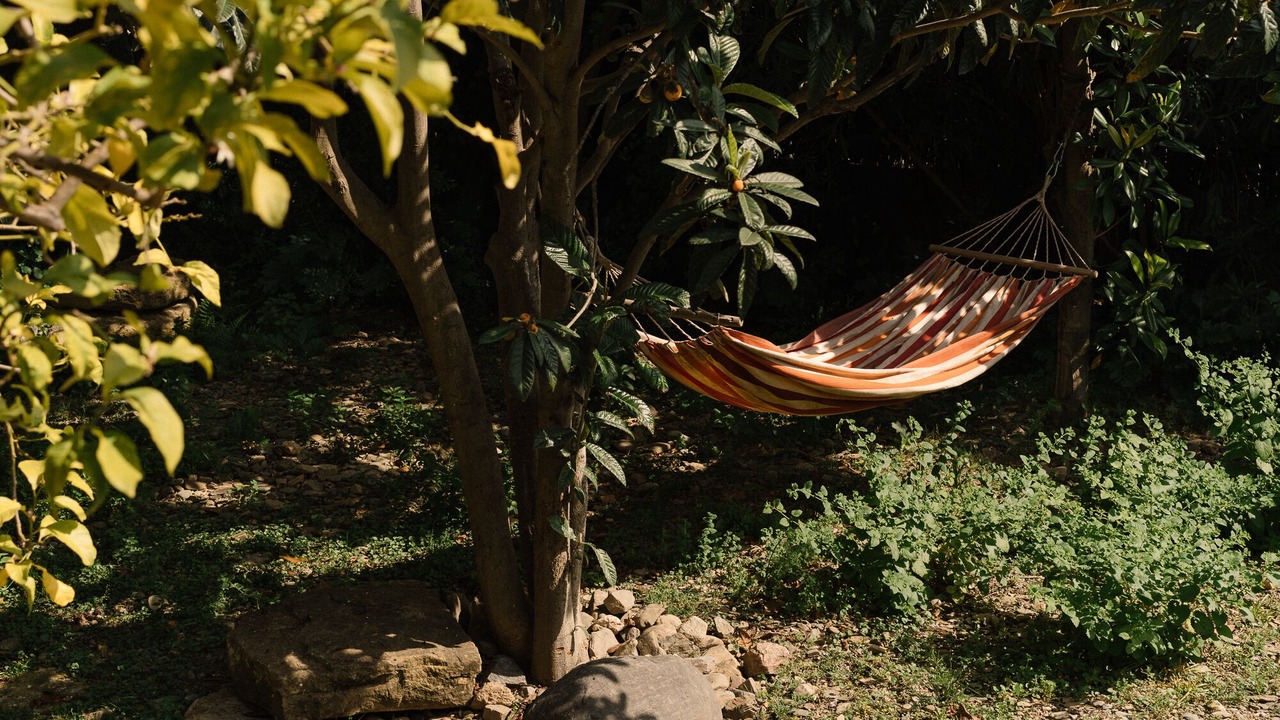 Photo of Outdoor in Cruilles