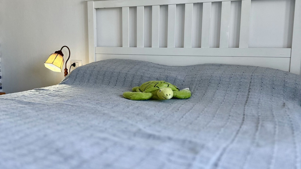 Photo of Bedroom in San Isidro