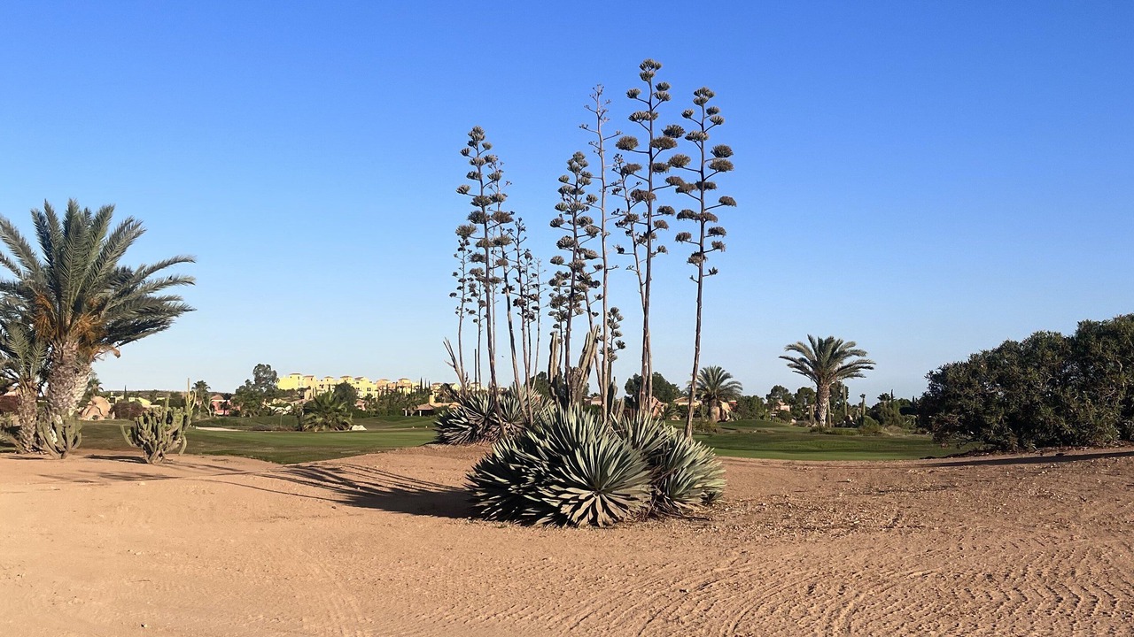 Photo of Outdoor in Cunas