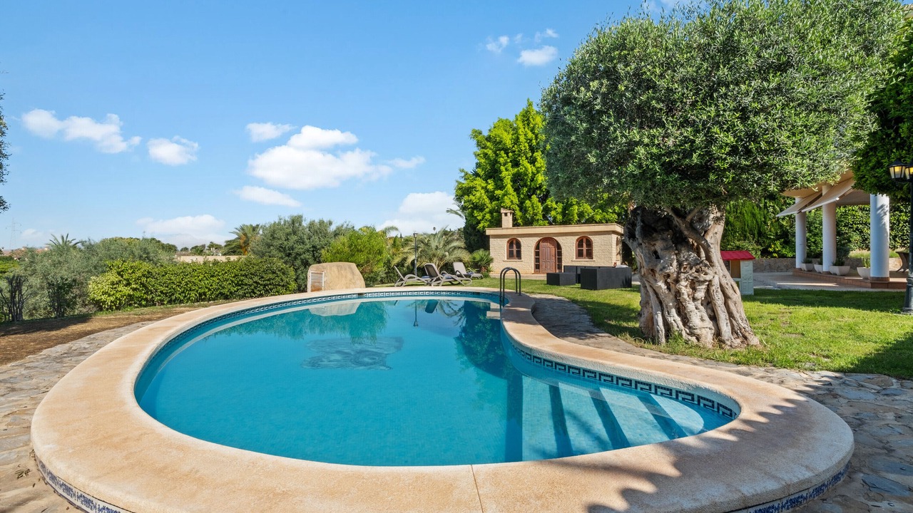 Photo of Outdoor in Elche