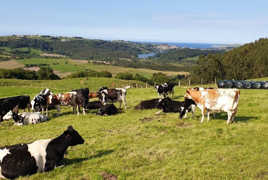 Photo of Outdoor in Serdio