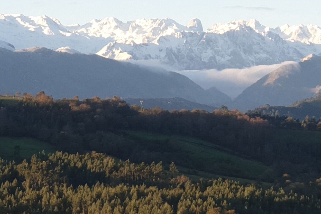 Photo of Outdoor in Serdio