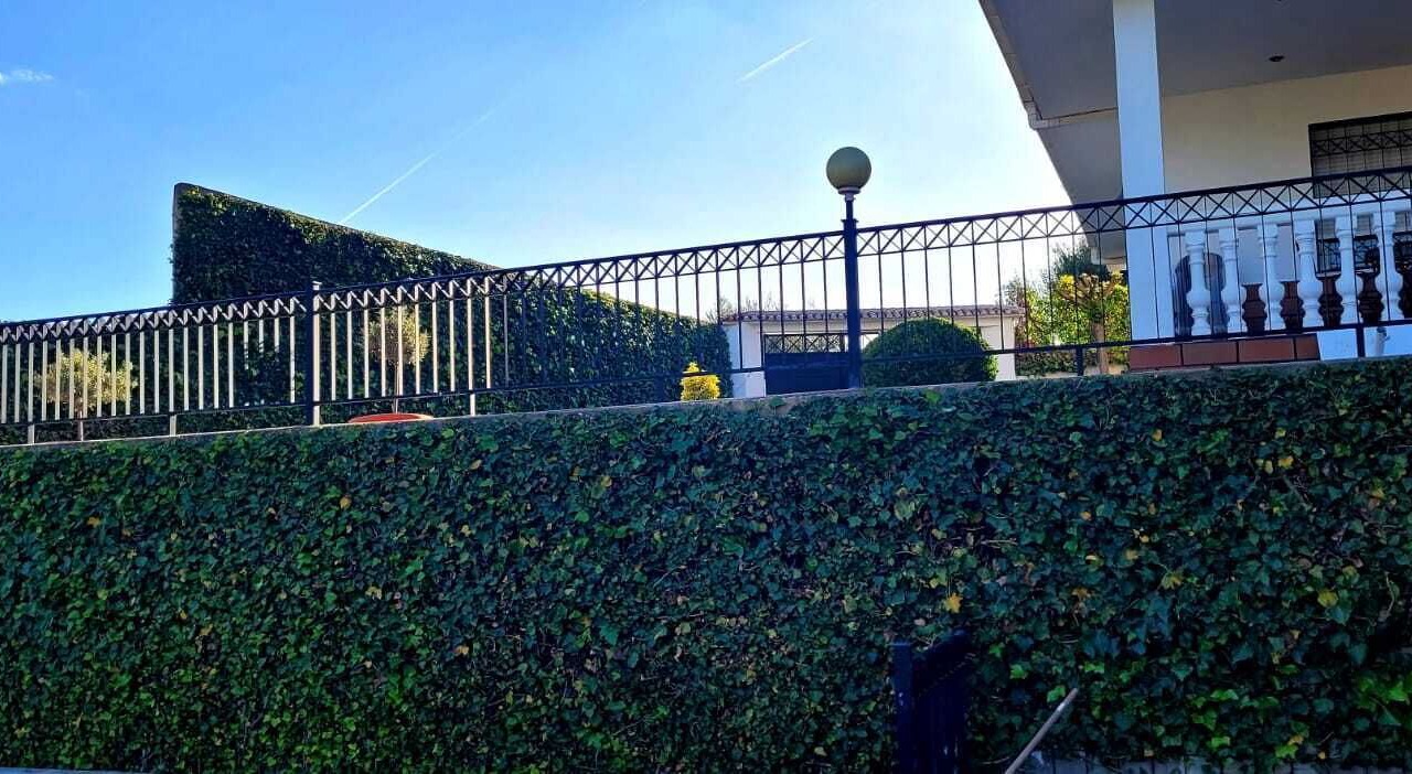 Photo of Outdoor in Los Villares