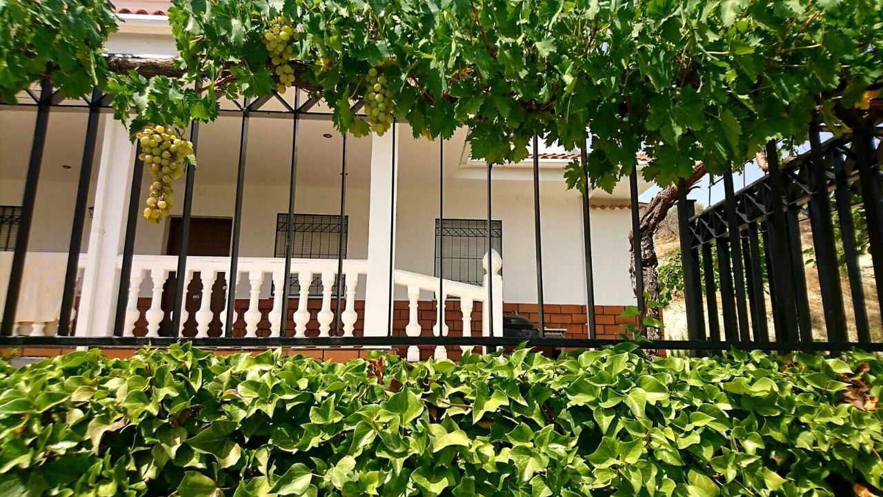 Photo of Outdoor in Los Villares