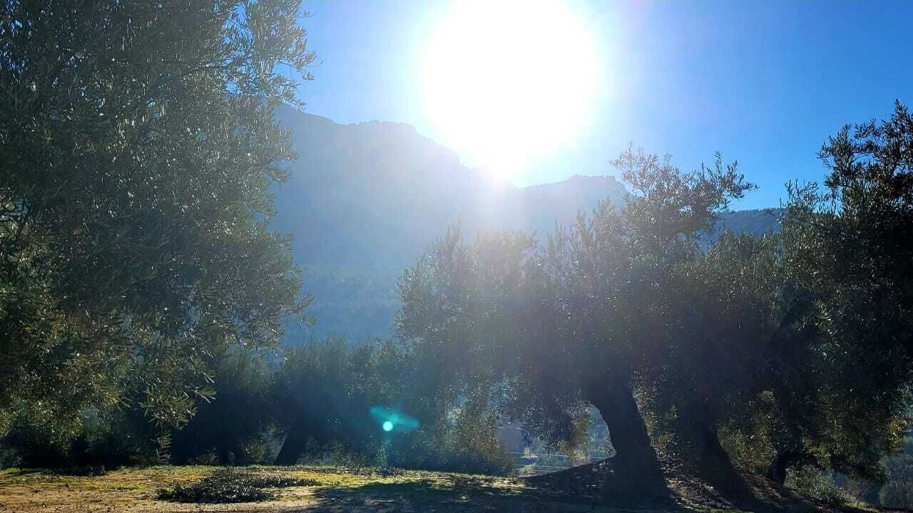 Photo of Outdoor in Los Villares